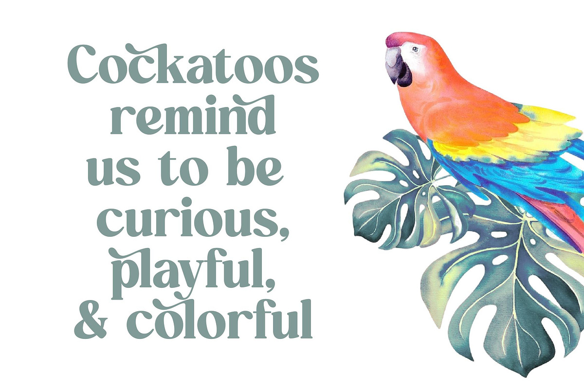 Quick Beach - Modern Retro Serif, a Serif Font by timelesstype.co (Photo 12 of 20)