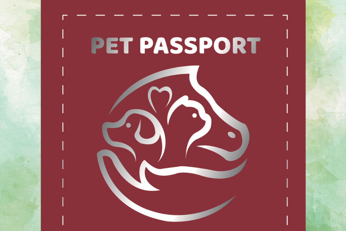Stylish Editable Pet Passport Design, a Print Template by Illustrations By Azmira (Photo 4 of 7)