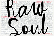 Raw Soul Expressive Messy Script, a Script Font by AnMark (Thumbnail 1 of 15)