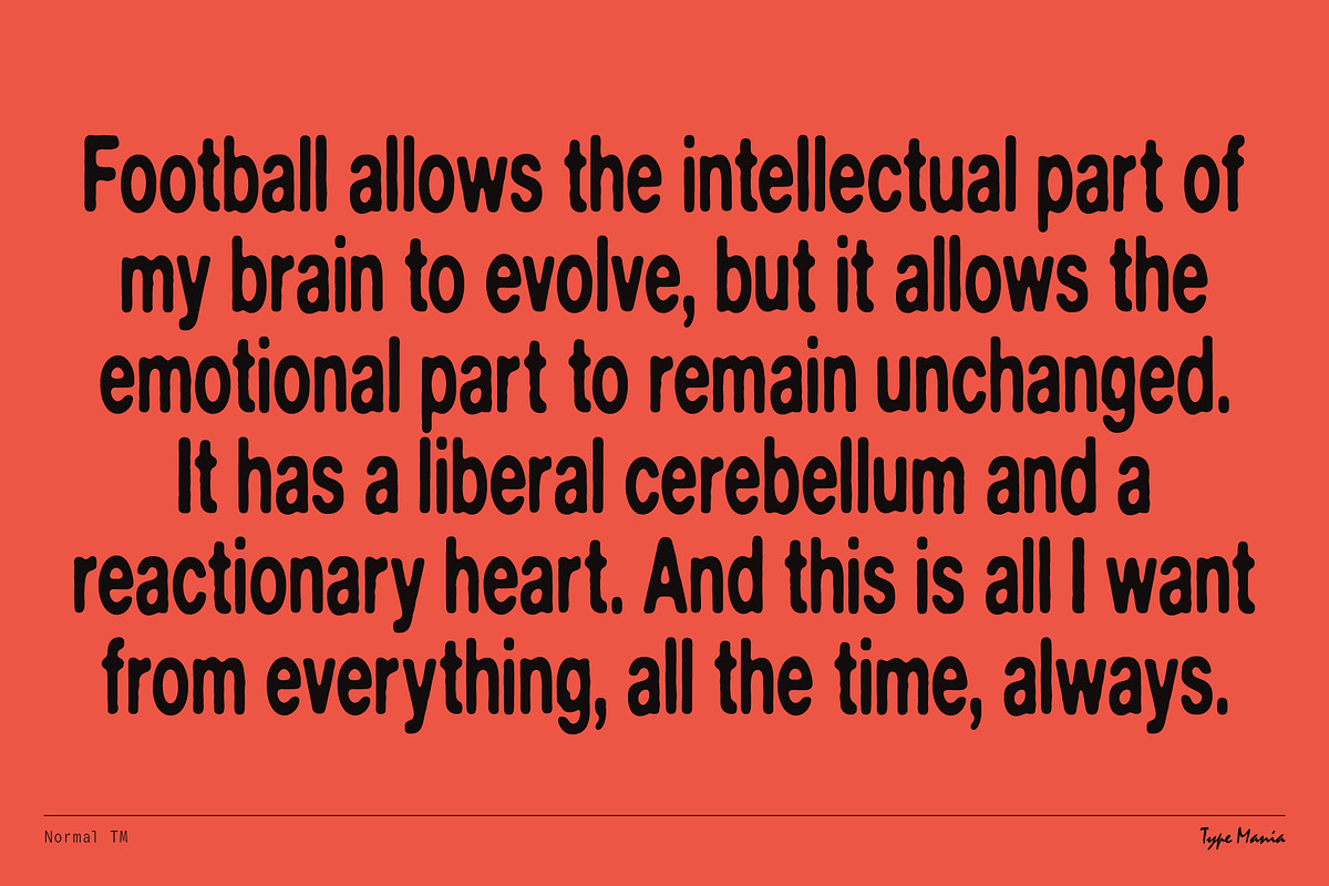 Normal TM – Gently Handled Grotesk, a Sans Serif Font by Type Mania (Photo 9 of 12)