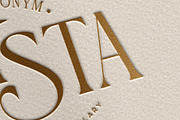 Logo Mockup, an Advertising Mockup by ZippyPixels (Thumbnail 6 of 6)