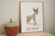 Watercolor forest Boho animal set, an Animal Illustration by TanyaSchuka (Thumbnail 5 of 10)