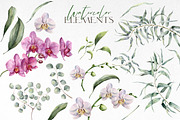Orchid Watercolor flowers clipart, an Illustration by Yuliya Derbisheva (Thumbnail 6 of 10)