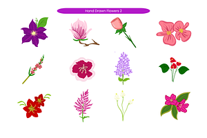 Hand Drawn Flowers, a Decorative Illustration by Creathub Studio
