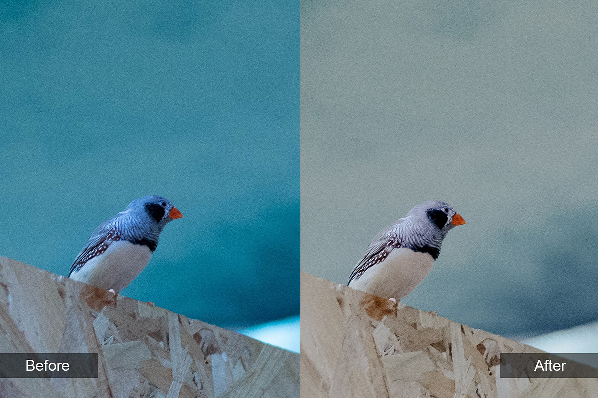 Nature Preset Pack 4, a Preset Add-On by MadeRed (Photo 10 of 11)
