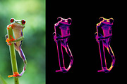 Neon Photo Effect Photoshop Action, an Action Add-On by MRI STUDIO (Thumbnail 5 of 11)