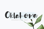 Oklahoma, a Script Font by Artstudio (Thumbnail 1 of 10)