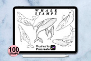100 procreate whale stamps, a Brush Add-On by Arts For Peace (Thumbnail 3 of 9)