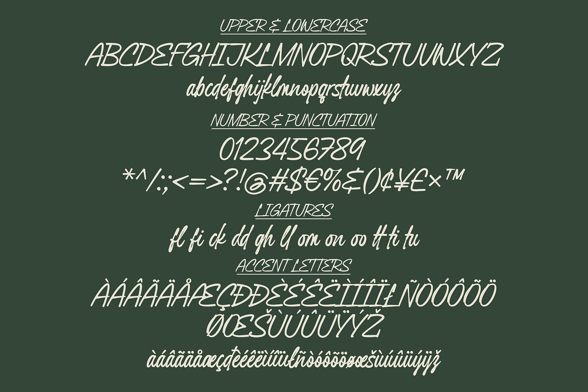 Celestial Signature | Signature Font, a Handwritten Font by Lemonthe (Photo 8 of 8)