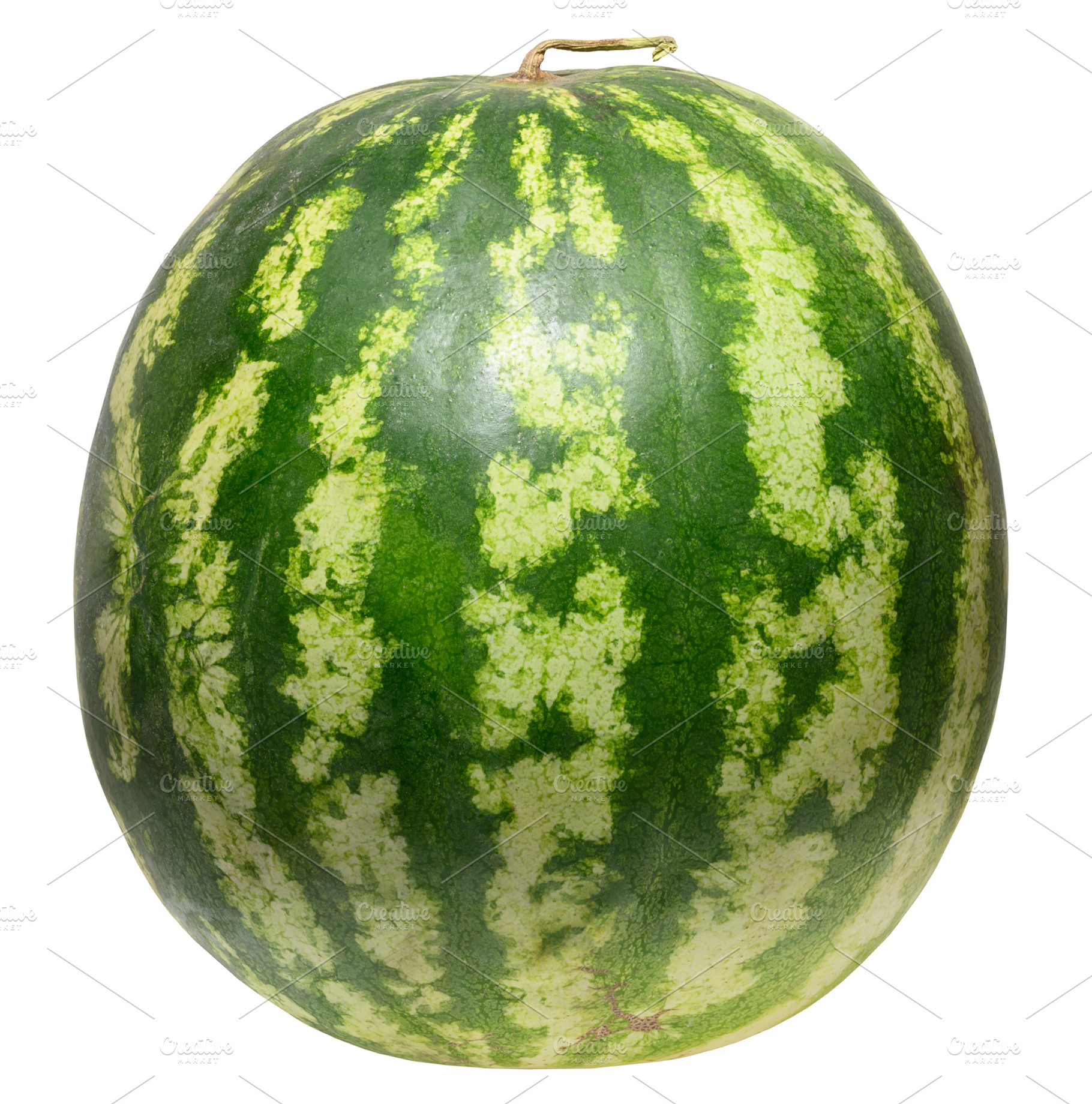 Whole ripe watermelon with dark green stripes, isolated backgrou, a Food & Drink Photo by ndanko