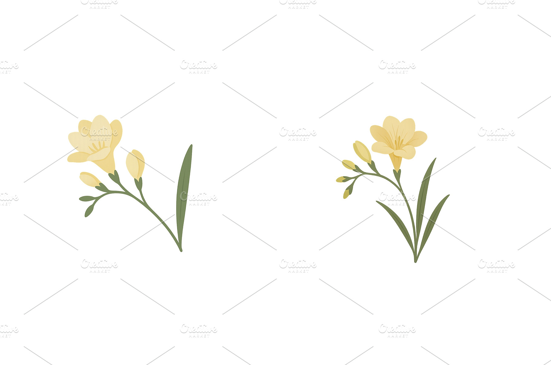 Two delicate yellow freesia flowers, a Nature Photo by ZinetroN