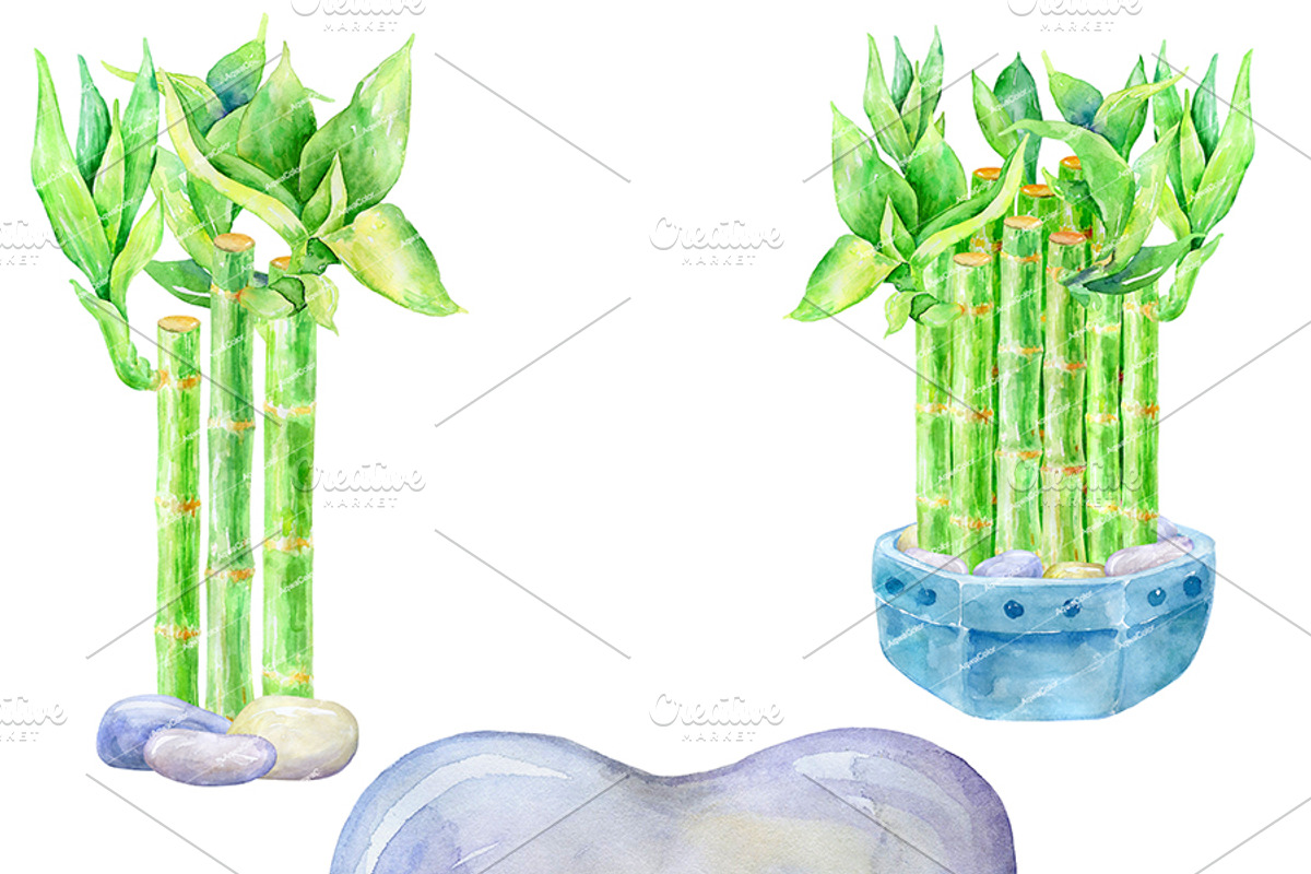 Lucky Bamboo - watercolor clipart, an Illustration by AqwaColor (Photo 3 of 4)