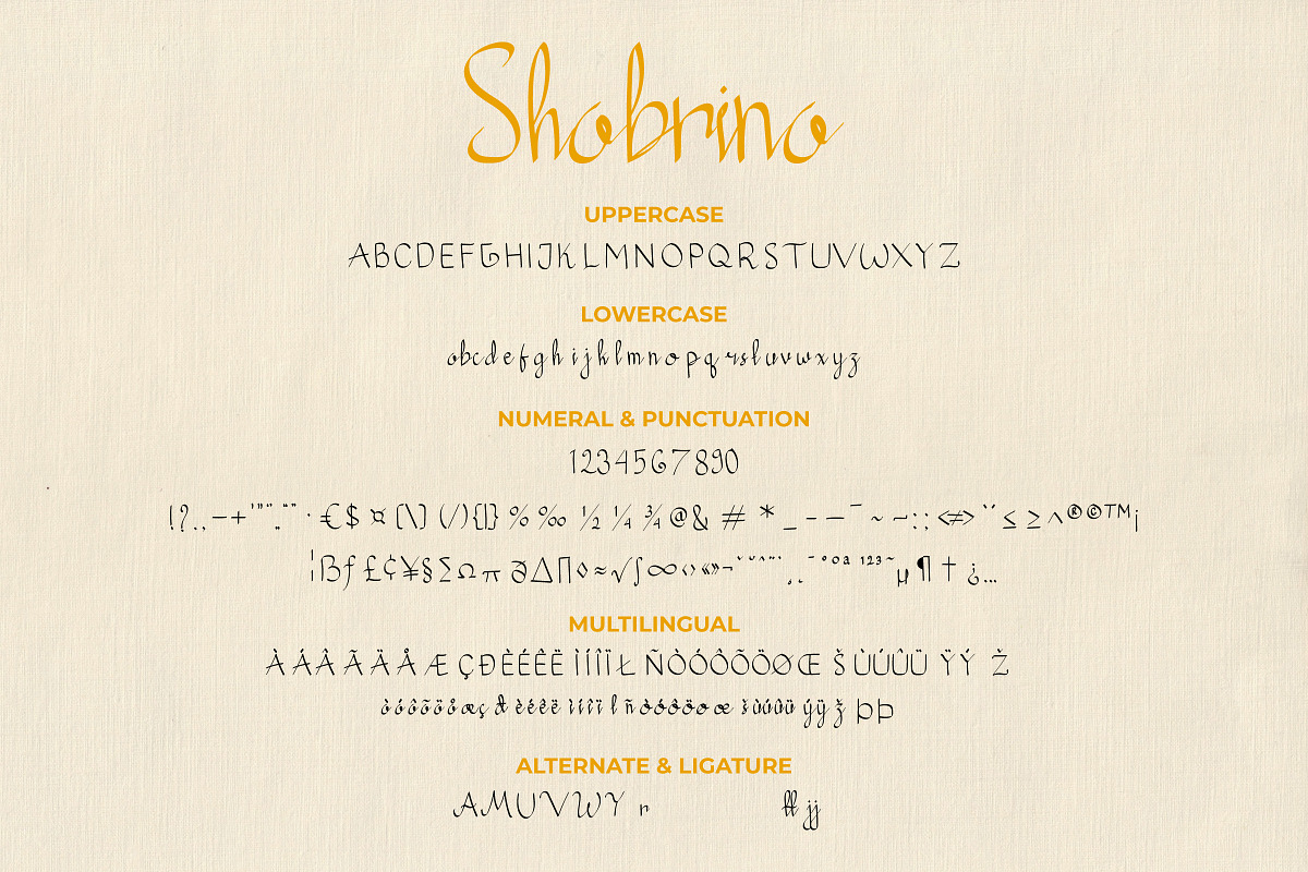 Shabrina - Brush Script Wedding Font, a Script Font by Inventype Studio (Photo 5 of 9)