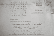 Capricious Ambrosia Quirky Font, a Handwritten Font by Letterhanna Studio (Thumbnail 7 of 13)