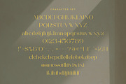 Eclleria - Stylish Serif Font, a Serif Font by Aqeel_Art (Thumbnail 8 of 8)