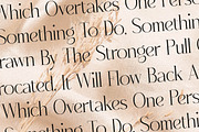 Qenliago Modern Serif Font, a Serif Font by Storytype Studio (Thumbnail 11 of 15)