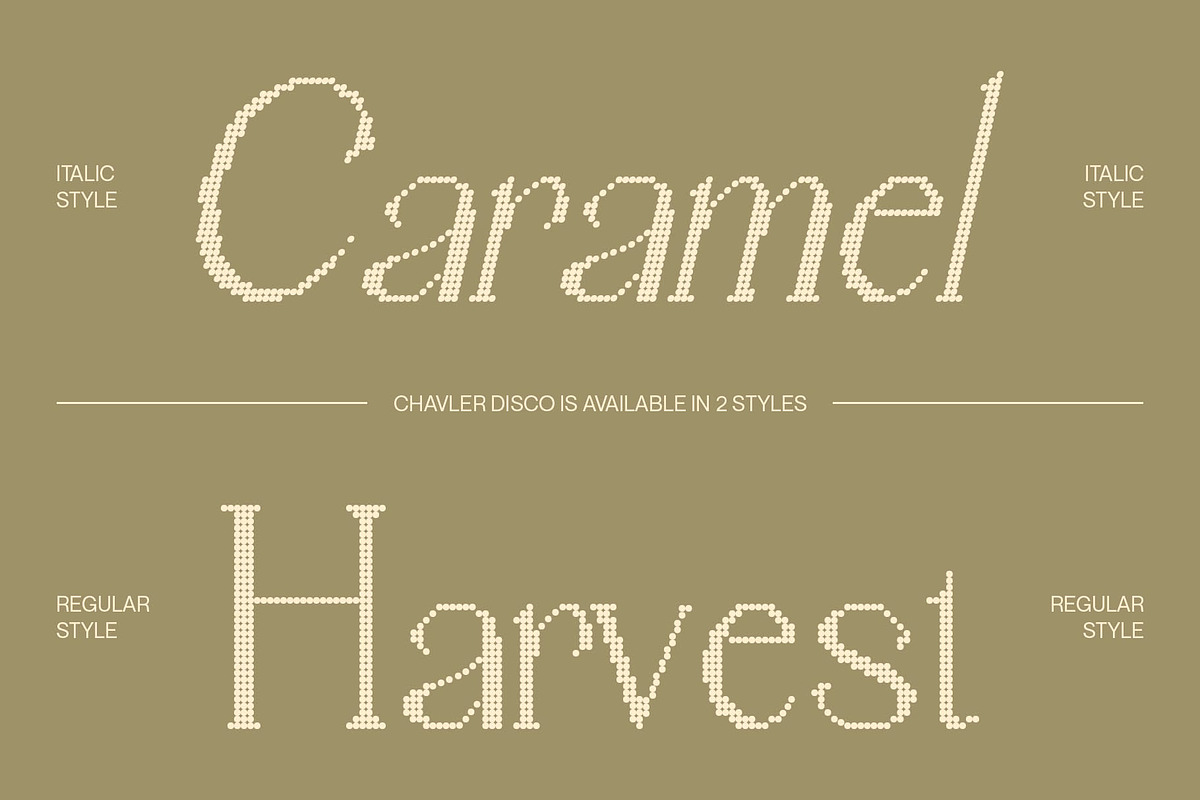 Chavler Disco, a Serif Font by Craft Supply Co. (Photo 2 of 8)