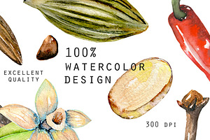 Spices. Watercolor Clip Art.