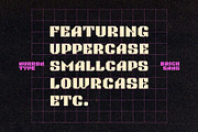 NT Brick Sans, a Font by nurrontype (Thumbnail 3 of 10)