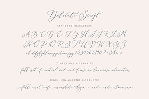 Delicate Elegant Script & Ornaments