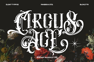 Circus Ace - Elegant Blackletter