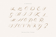 Lucylove - Modern Calligraphy, a Script Font by delipensil (Thumbnail 7 of 11)