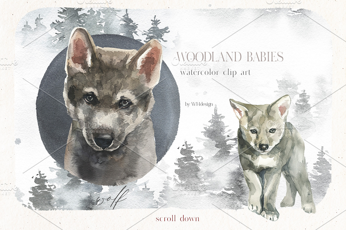 Woodland Babies Wild Animals Clipart, an Animal Illustration by whiteheartdesign (Photo 12 of 28)