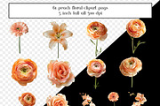 Peach Floral Clipart, Peach Flowers, an Object Graphic by AllTheKewtClipart (Thumbnail 3 of 5)