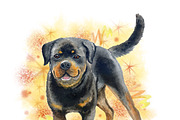 Watercolor Dogs Mega Big Bundle, an Illustration by Dneprstock (Thumbnail 57 of 60)