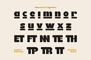 Brons - Bold Display Sans Serif Font, a Sans Serif Font by Flawless And Co (Thumbnail 10 of 10)