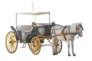 Traditional horse carriage isolated, an Animal Photo by DanFLCreativo