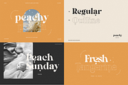 Modern Elegant Font Bundle - SALE, a Serif Font by Sans & Sons (Thumbnail 9 of 11)