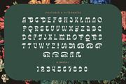 Tanqier Groovy Display Font, a Serif Font by timelesstype.co (Thumbnail 18 of 20)