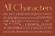 CS Rowena Drawn, a Serif Font by Craft Supply Co. (Thumbnail 8 of 8)