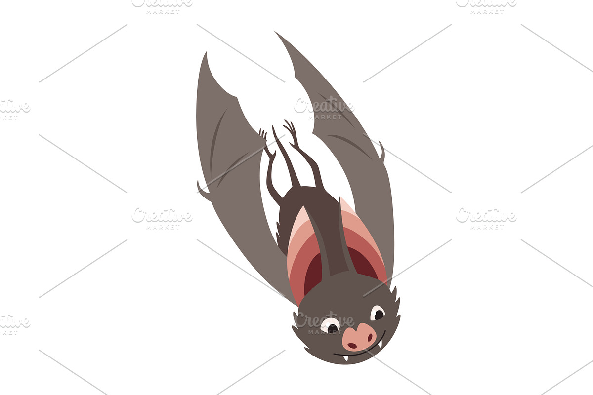 Bat. Concept cartoon bat. Vector, an Animal Illustration by the8monkey