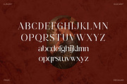 Meladu Rose Stylish Font, a Serif Font by Storytype Studio (Thumbnail 22 of 30)