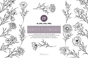 Fine Line Birth flowers Collection, an Illustration by CaraulanStore