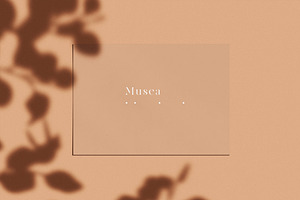 Musea Mini Stationery Mockup