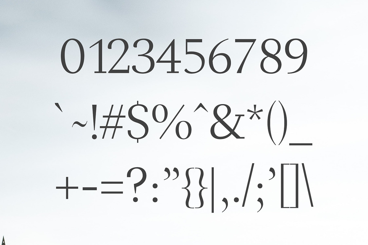 Haddie Modern Serif Font Family preview 3