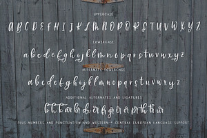 Farmhouse Country Rustic Font Duo