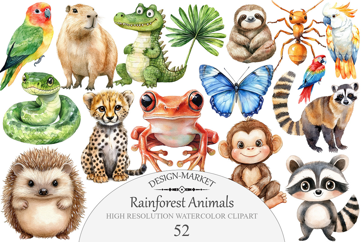 Rainforest Animals Clipart, an Illustration by Design Market (Photo 1 of 5)