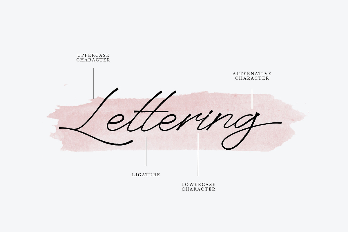Anaheim script pro font ( update ) preview 2