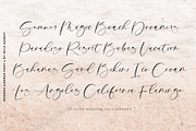 Modern Summer Calligraphy Logo Font, a Script Font by Mila Garret (Thumbnail 9 of 14)