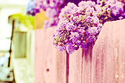 Vintage Premium Photo Effects #3 preview 4