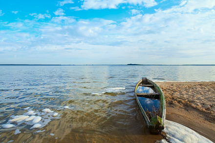 Old flooding boat on summer lake shore, a Nature Photo by YuriyB
