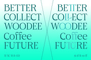 Aganote Typeface | 91 Style Font, a Serif Font by Bosstype Studio (Thumbnail 9 of 12)