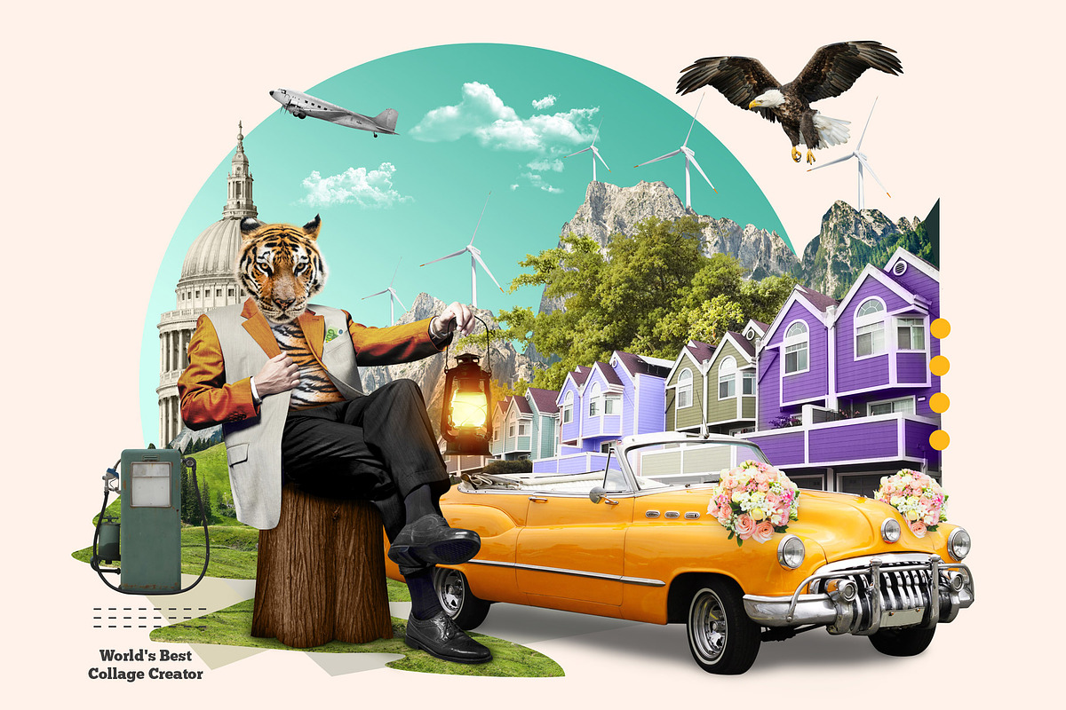World's Best Collage Creator, an Animal Illustration by SNIPESCIENTIST (Photo 14 of 48)