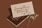 Sentinel Font, a Script Font by Haws.std (Thumbnail 2 of 5)