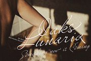 Volkanoski Script Pro | INTRO SALE, a Script Font by Alcode (Thumbnail 12 of 17)