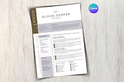 Modern Executive Resume Template, a Templates & Theme by iloveTemplate (Thumbnail 3 of 5)
